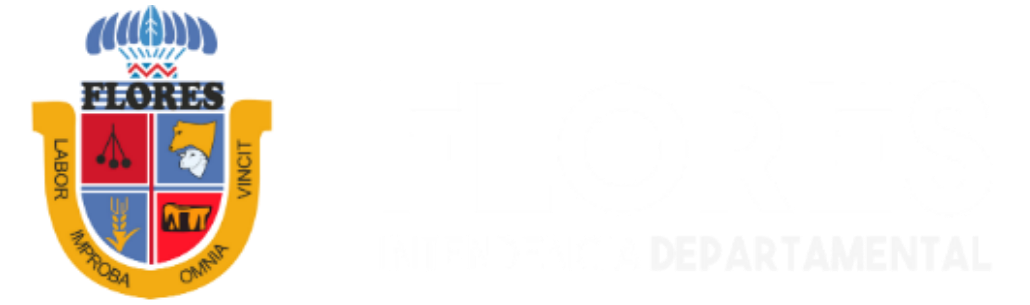 Intendencia Departamental Flores